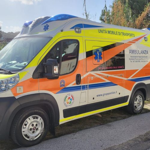 PHOTO-2024-03-19-12-19-21-1920w